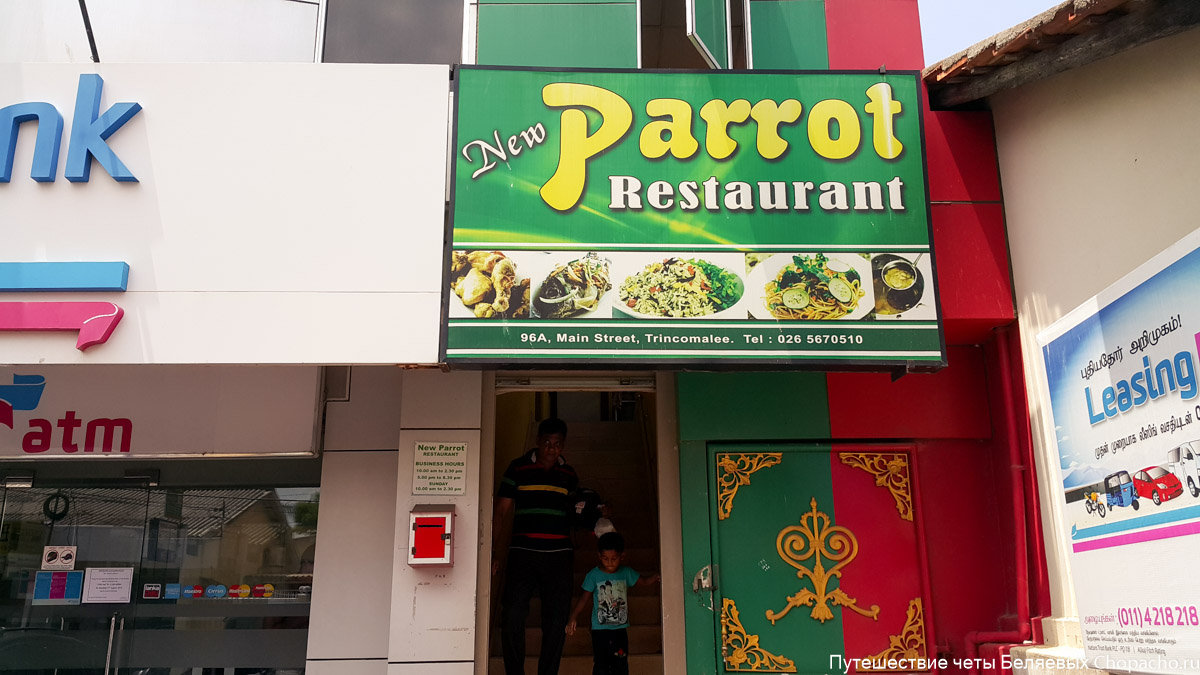 Cafe Parrot