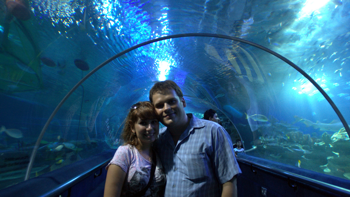 Туннель в огромном аквариуме