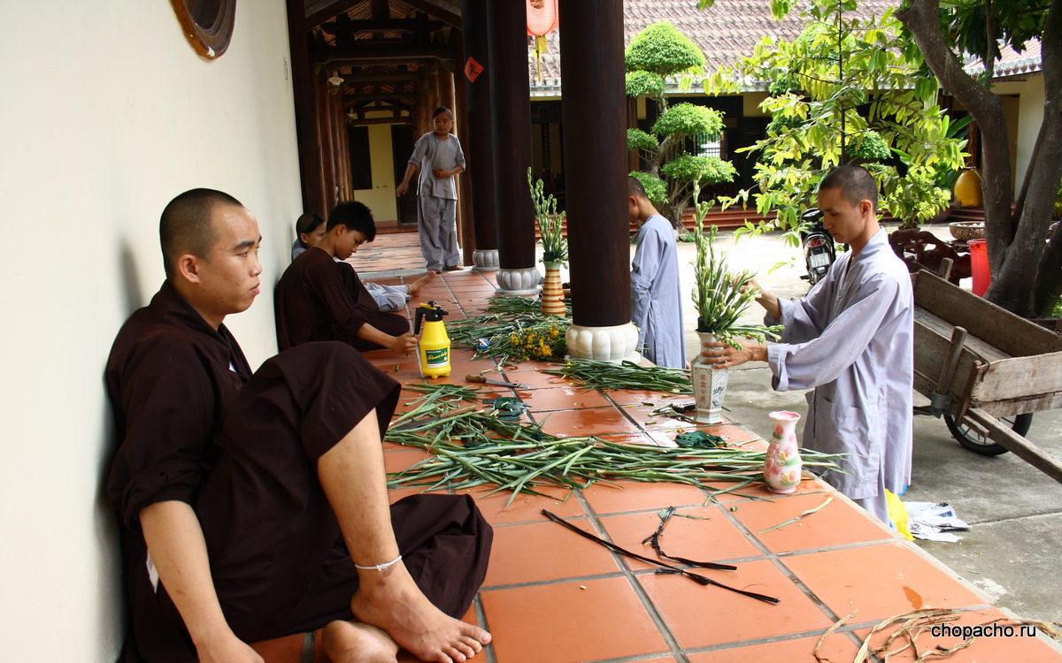 Молодые монахи буддийского монастыря в Хой Ане, Вьетнам