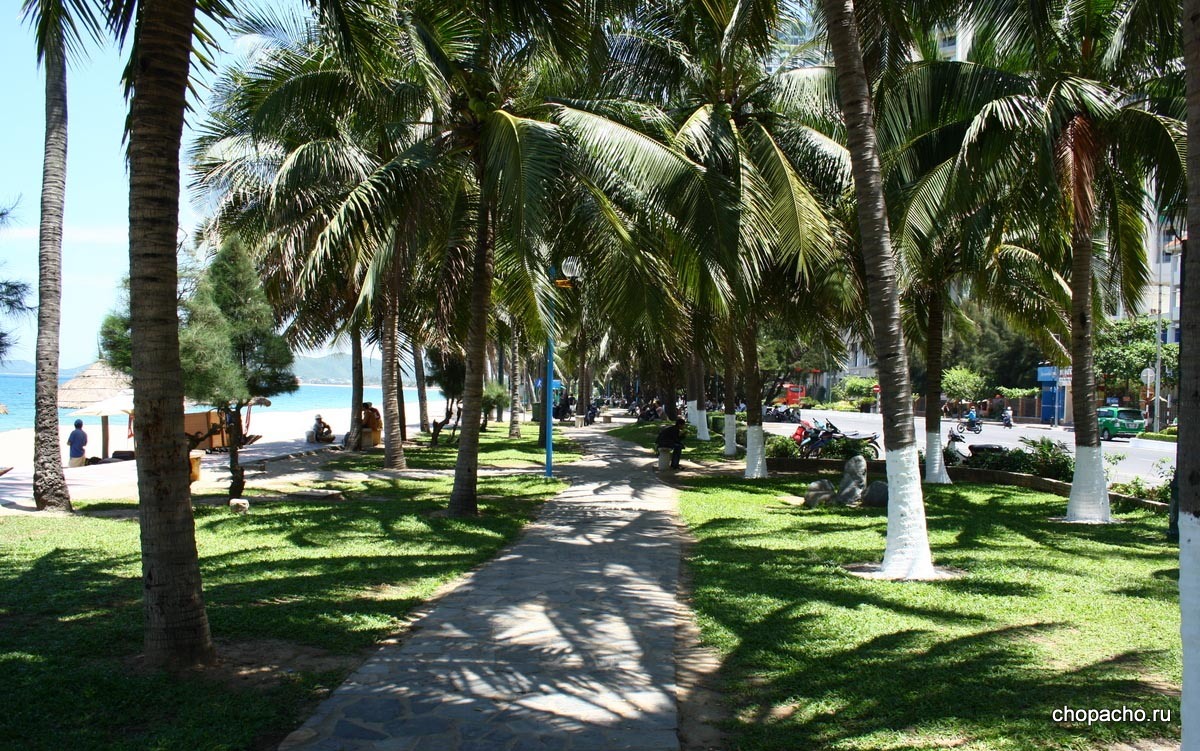 Маленький парк у пляжа