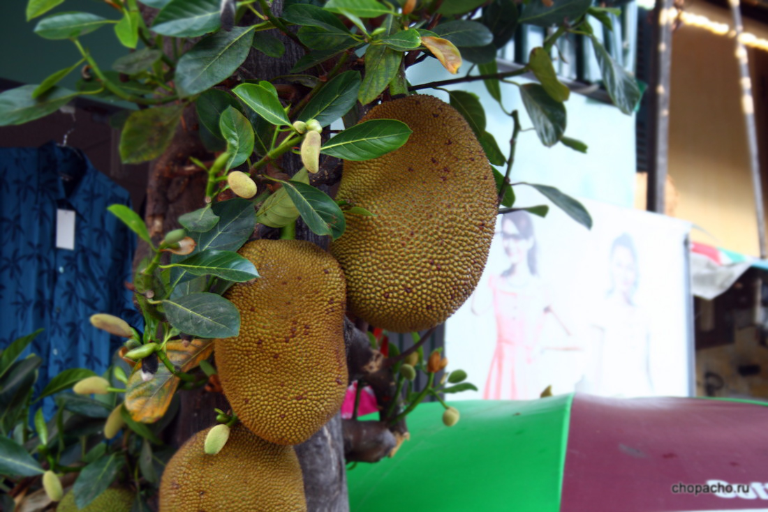 Экзотические фрукты в Нячанге