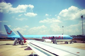 GFRANQ_VITAMIN_911_33530969_MEOW-MEOW