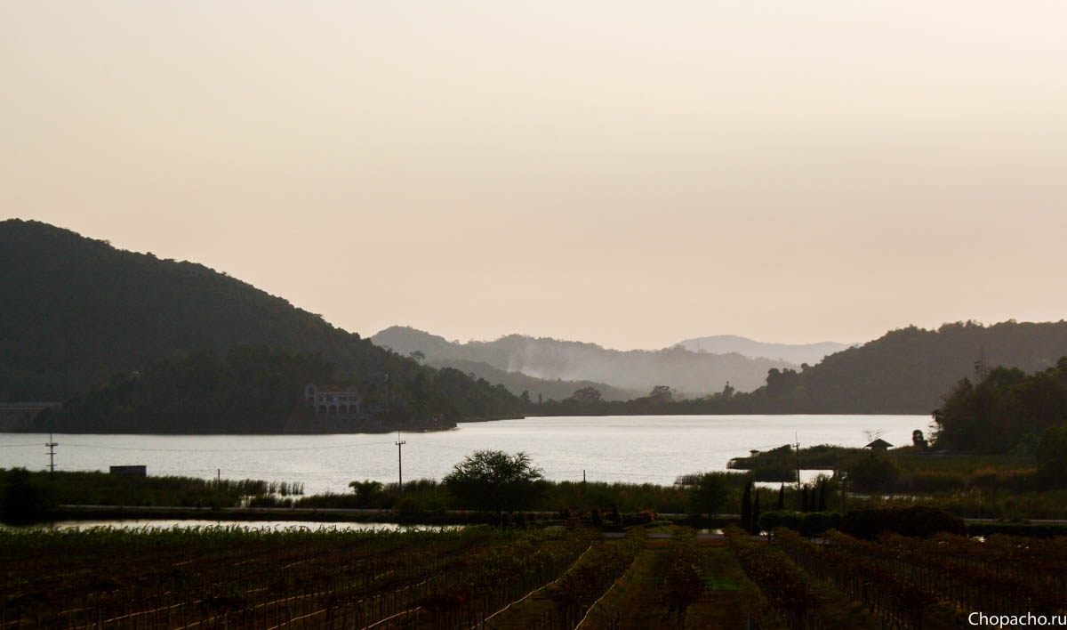 Вид с виноградника silver lake