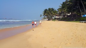 Погода на Шри-Ланке 2015