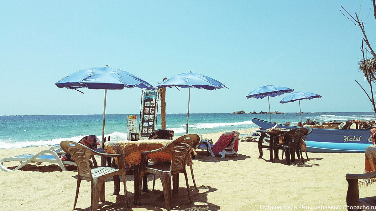 Ресторан на пляже Хиккадувы: стоимость блюд в меню