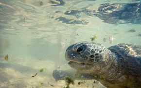 Снимок экрана 2015-02-25 в 17.15.36