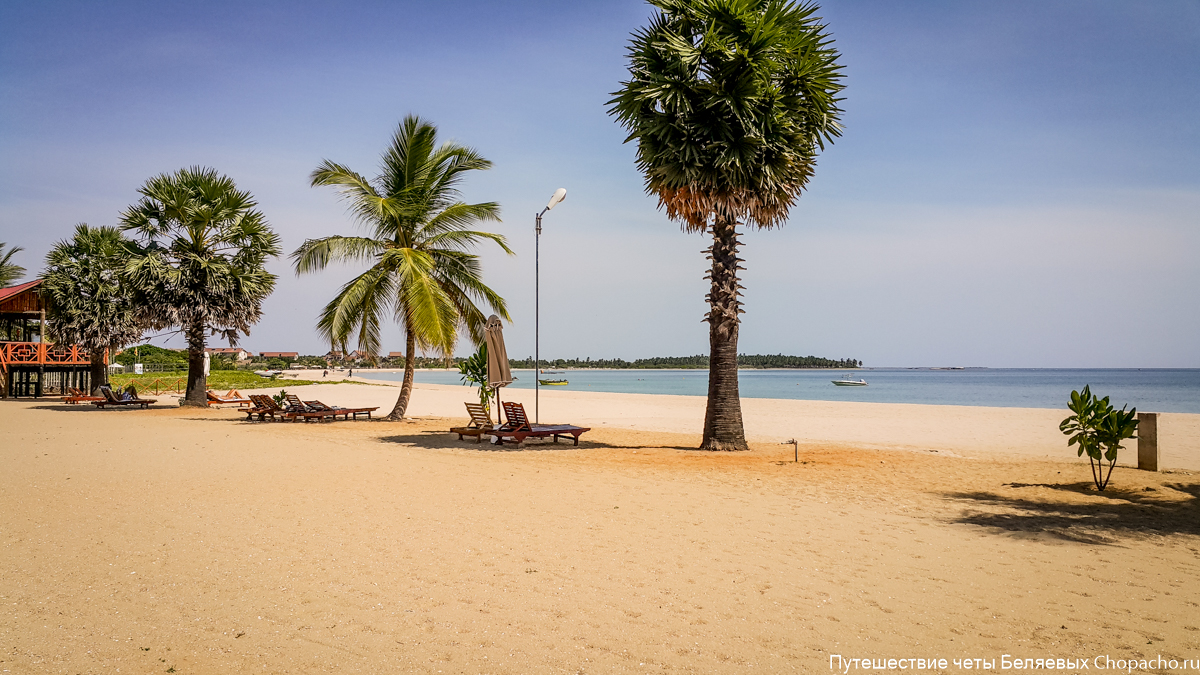 Пляж в Калкуде (Шри-Ланка 2015)