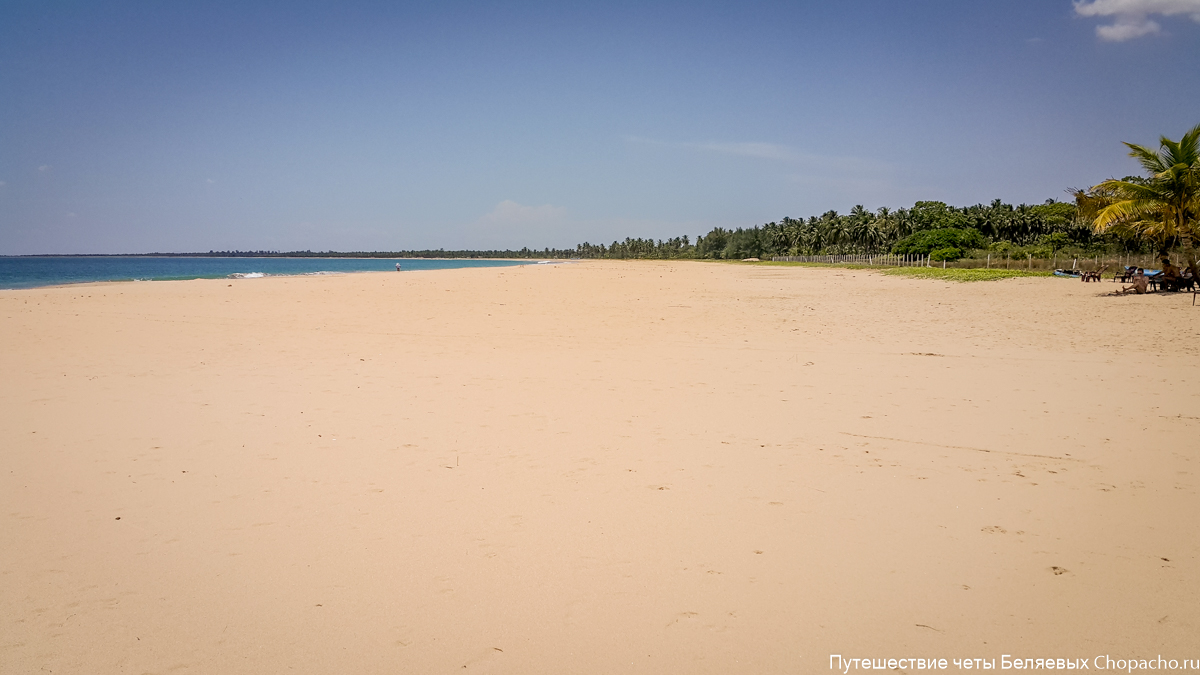 Пасикуда (Калькуда) — пляжи, отели, фото 2015