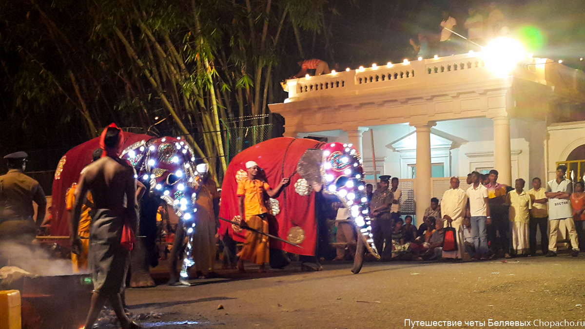 Фестиваль Эсала Перахера. Канди, Шри-Ланка.