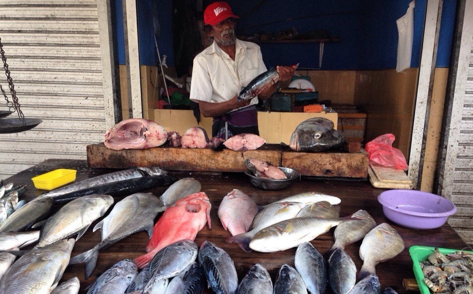 Стоимость свежей рыбы на Шри-Ланке